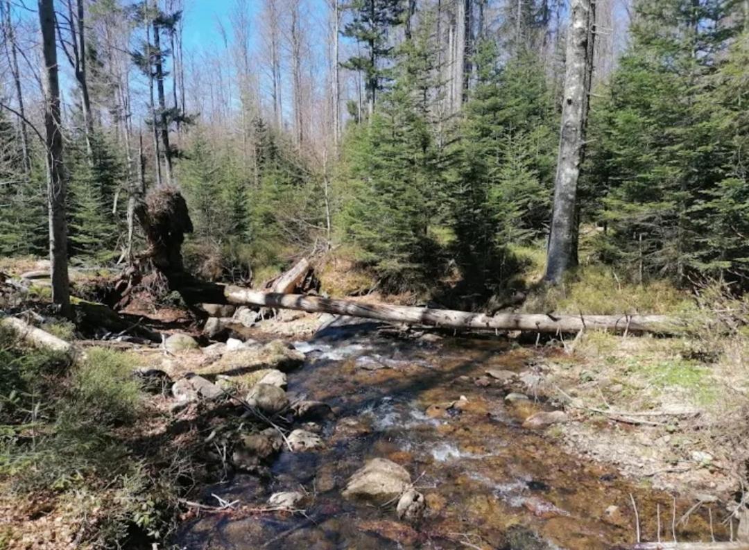 Apartment Haus Daxberg Idyllisch Gelegen Im Bayerischen Wald Eppenschlag